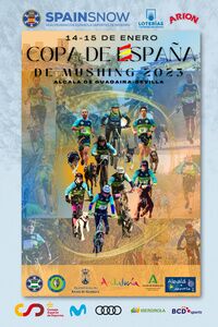 Copa de España de Mushing 2023 en Alcalá