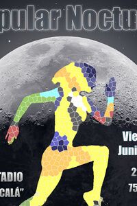 XXII Carrera Popular Nocturna