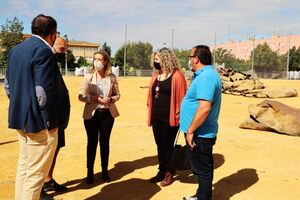 El Ayuntamiento ha iniciado la renovación del césped artificial del campo de fútbol del Complejo Malasmañanas