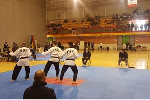 Alcalá de Guadaíra epicentro del Taewkondo Poomsae y Adaptado