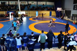 Alcalá de Guadaíra acogió con éxito la Octava Copa de España de Escuelas Deportivas de Luchas Olímpicas