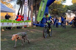 Alcalá acoge la Copa de España de Mushing, el pujante deportes en el que personas y perros forman equipo