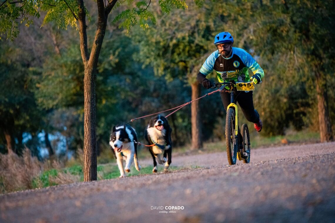 Debut del alcalareño Luis Gonzaga del Dunhuellas Mushing en el Trofeo Mushing Miguelturra