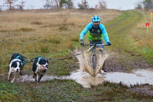 Luis y su equipo Dunhuellas Mushing: superando barreras en el deporte del mushing