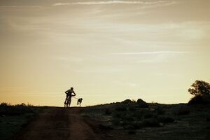 Galeria fotografica primera jornada de la Copa de España Mushing