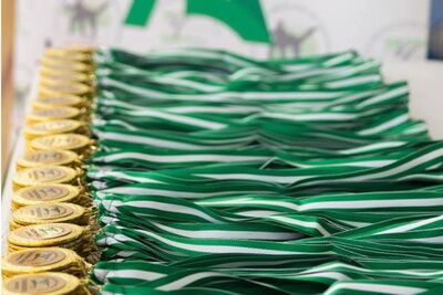 Brillante actuación de Taekwondo Nervio Alcalá en el Campeonato de Andalucía Promesas