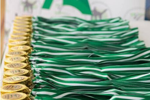 Brillante actuación de Taekwondo Nervio Alcalá en el Campeonato de Andalucía Promesas